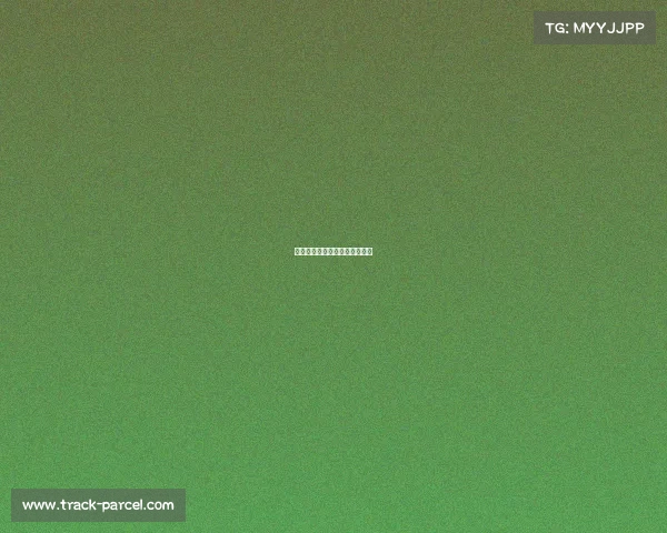 龙舟赛赛事目标龙舟赛活动目的